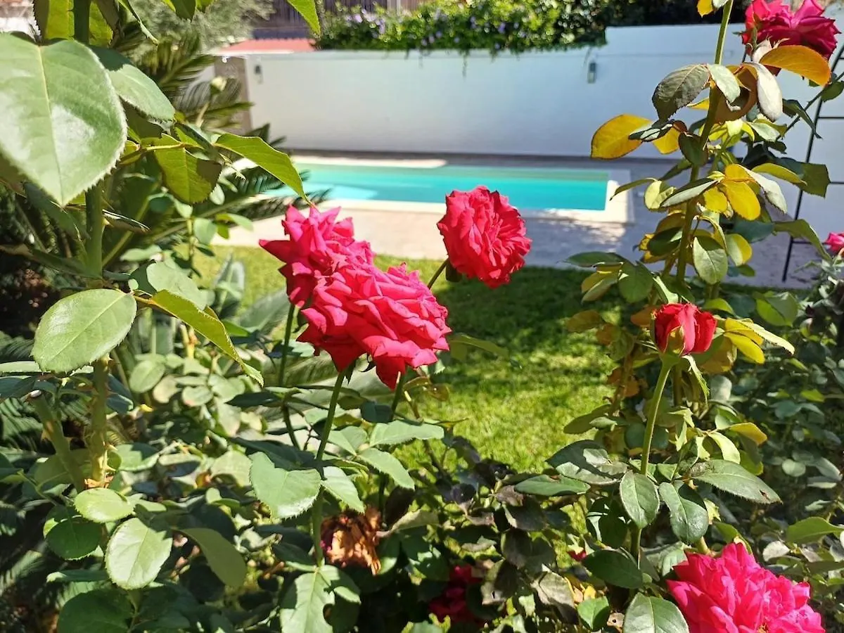 Villa Due Mari Mondello With Private Pool Παλέρμο